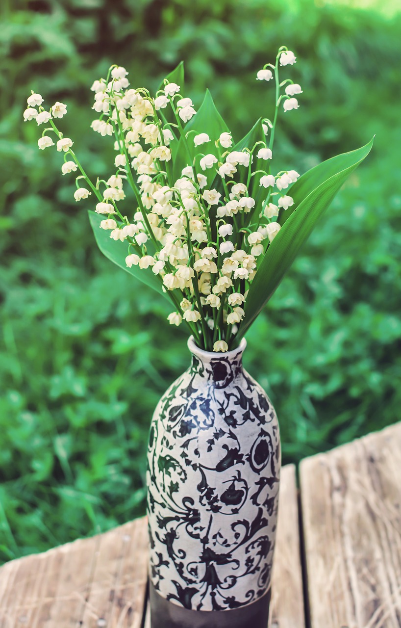 lily of the valley flower pot free photo
