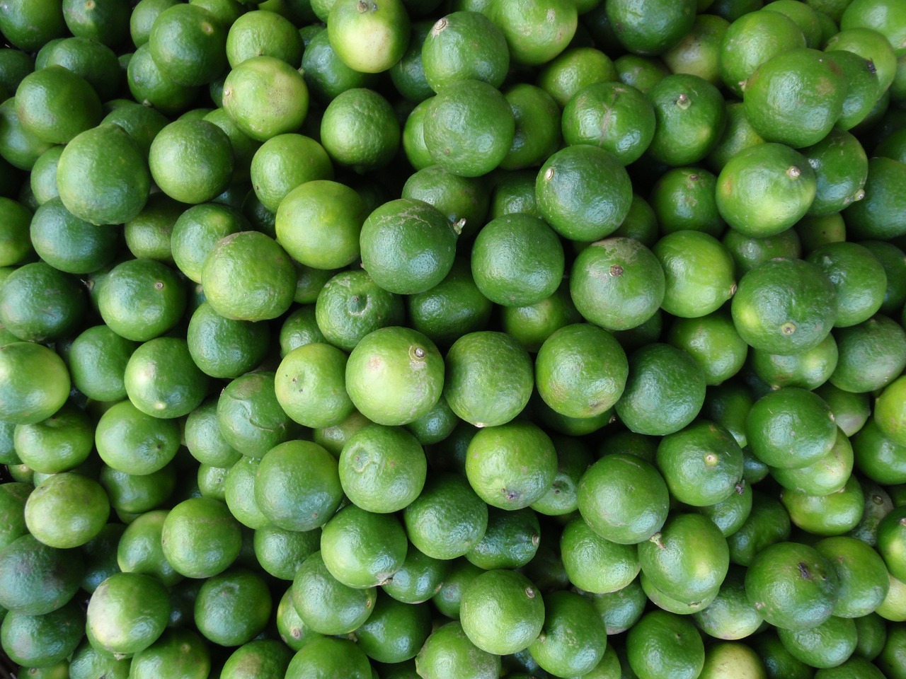 lime fresh green free photo