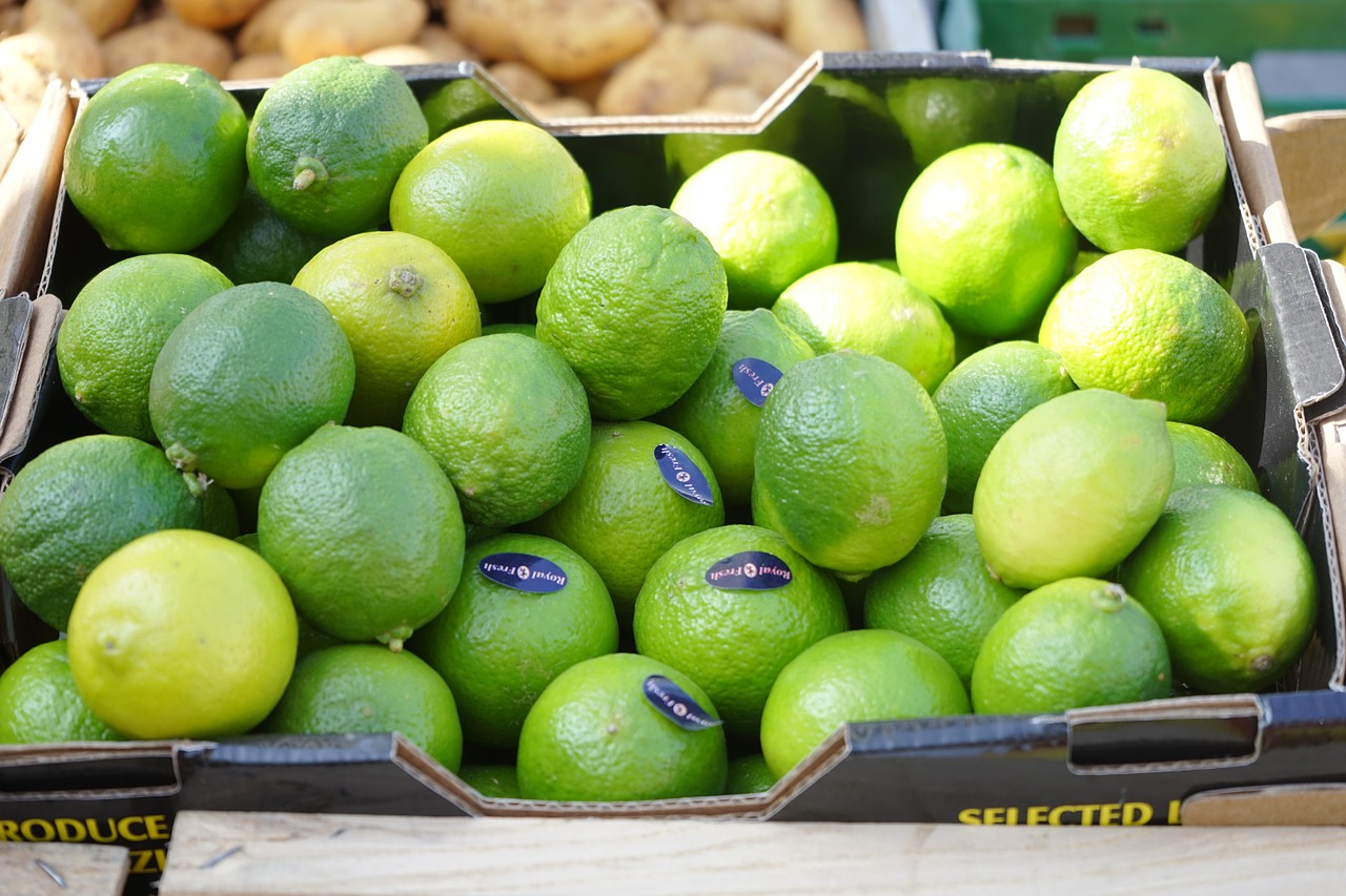lime fruits citrus fruits free photo