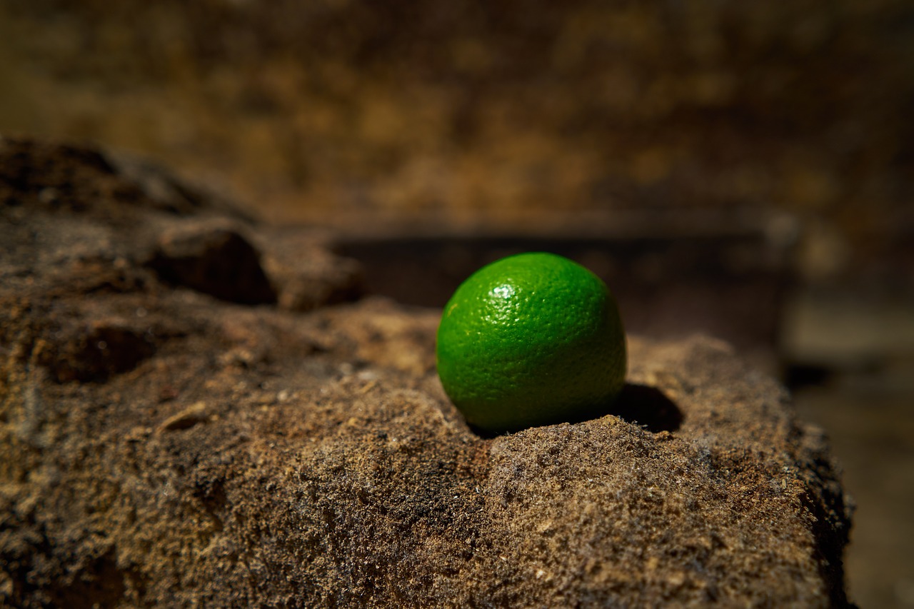 lime  sour  fruit free photo