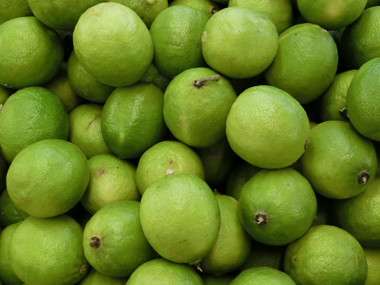 lime citrus fruits fruits free photo