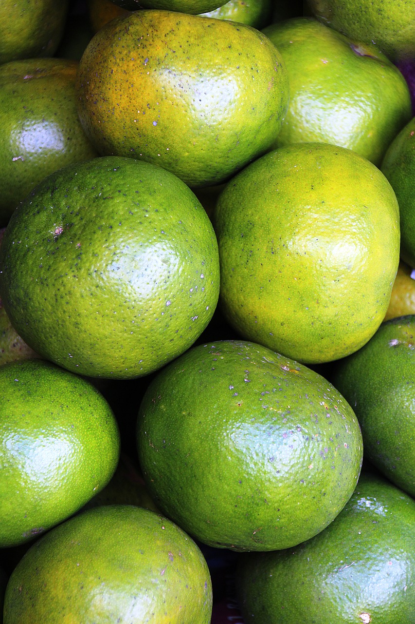limes citrus green free photo