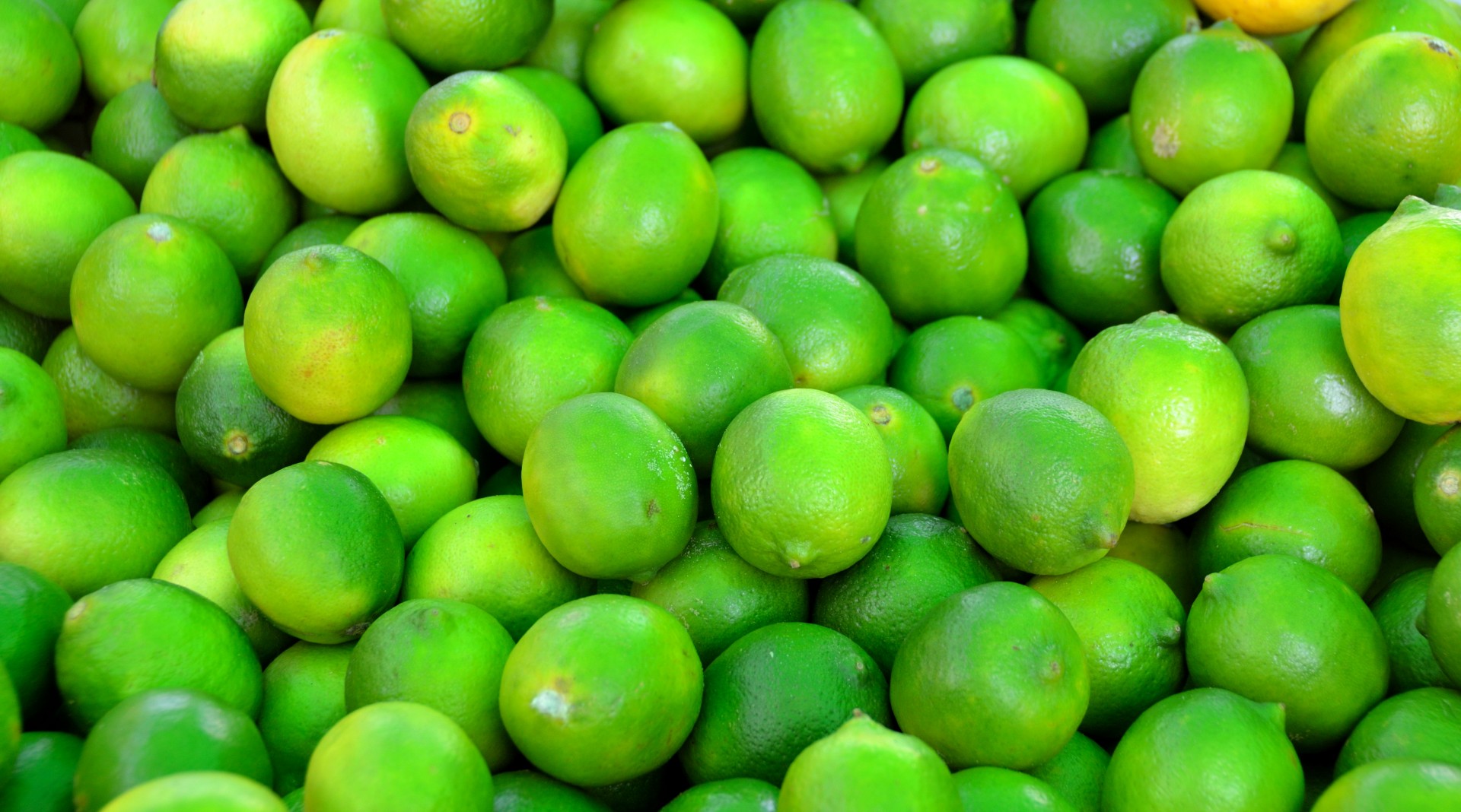 limes fruit green free photo