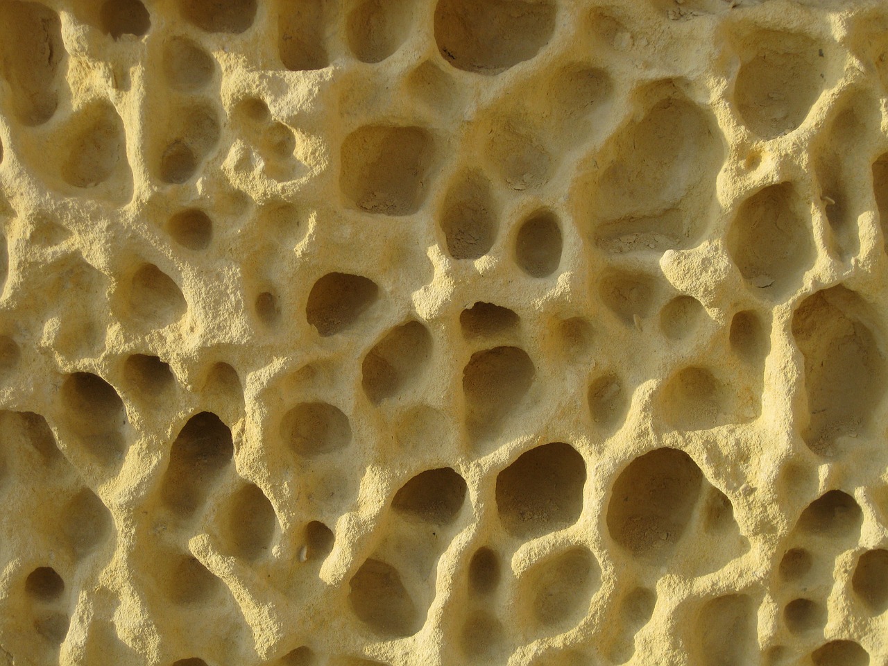 limestone honeycomb rock free photo