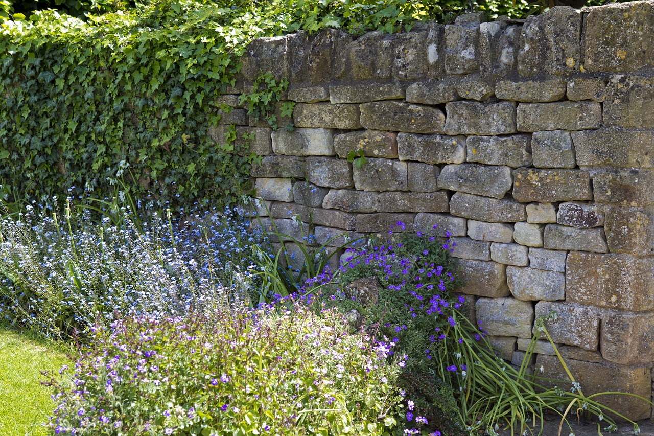 limestone garden wall ivy drystone walling free photo