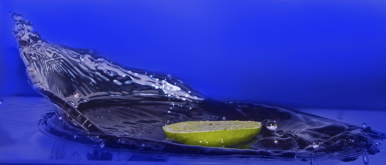 limone citrus fruits water free photo