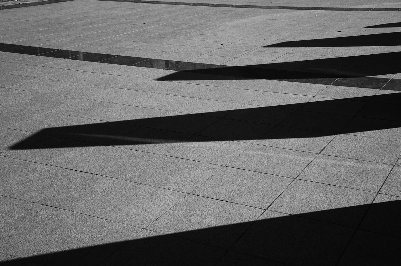 line shadow black and white free photo