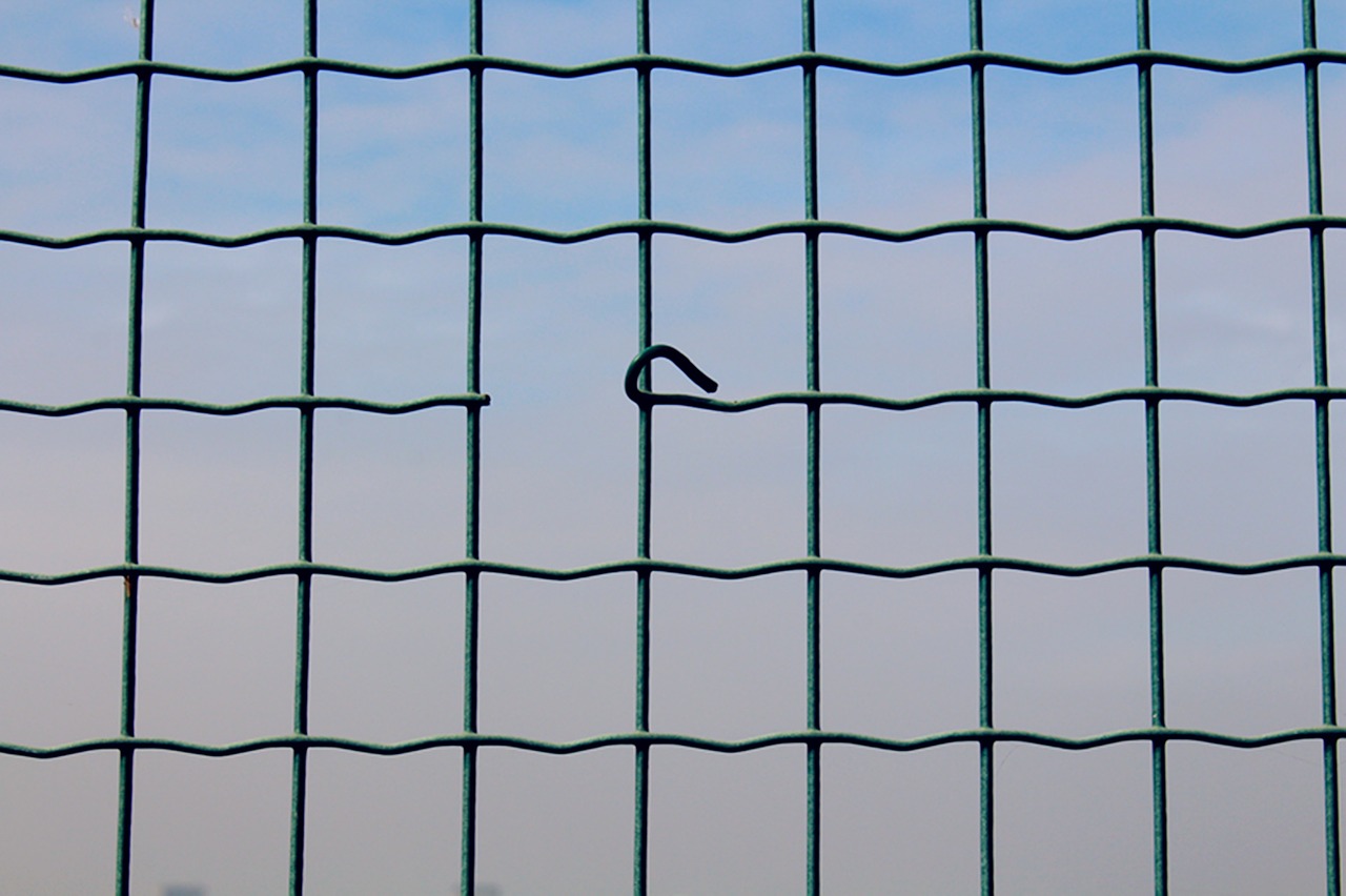 lingang sky fences free photo