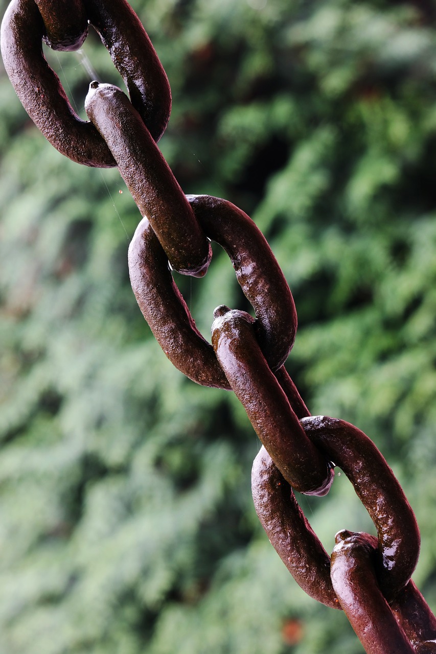 links of the chain chain iron free photo
