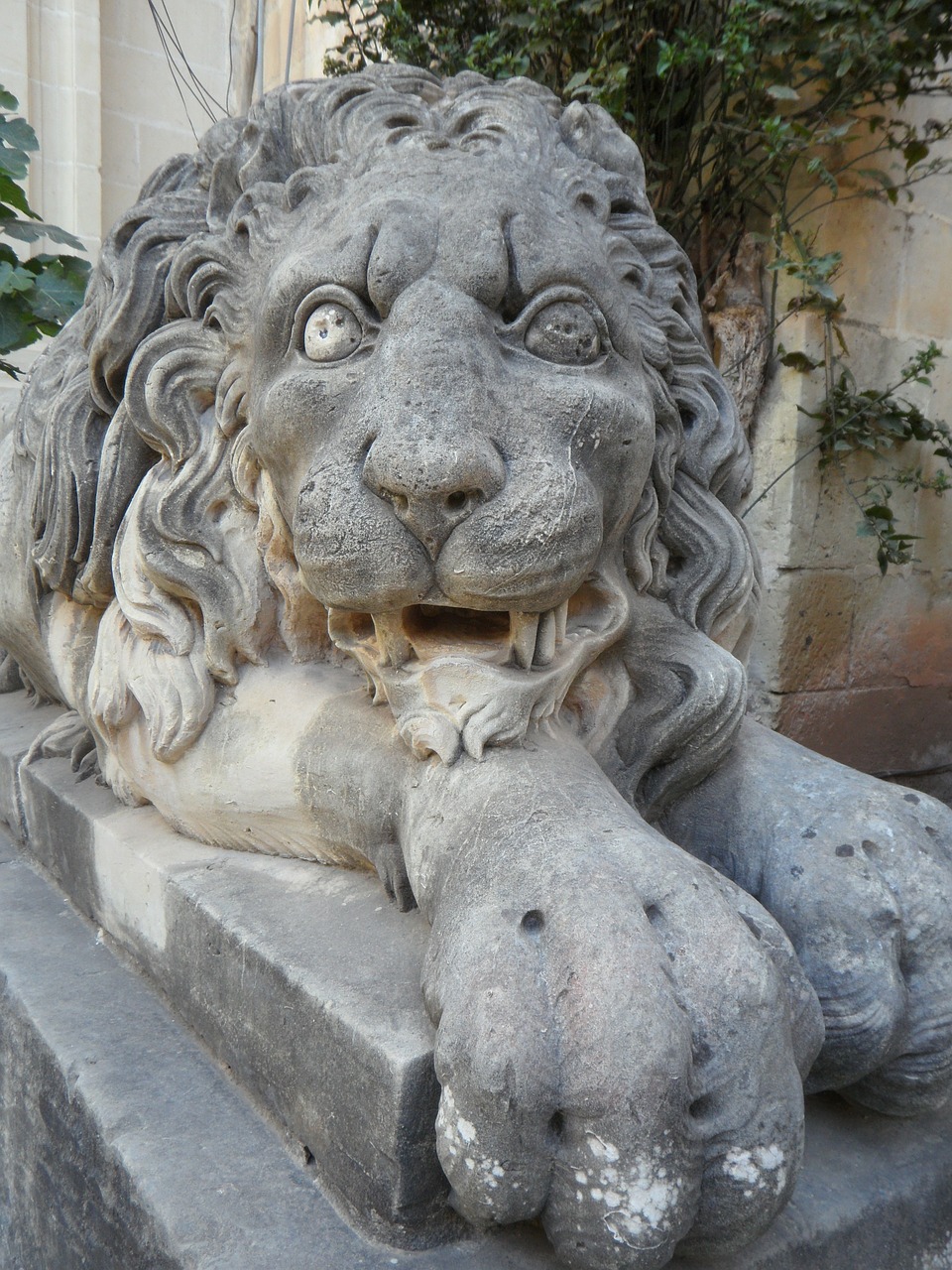 lion stone stone lion free photo