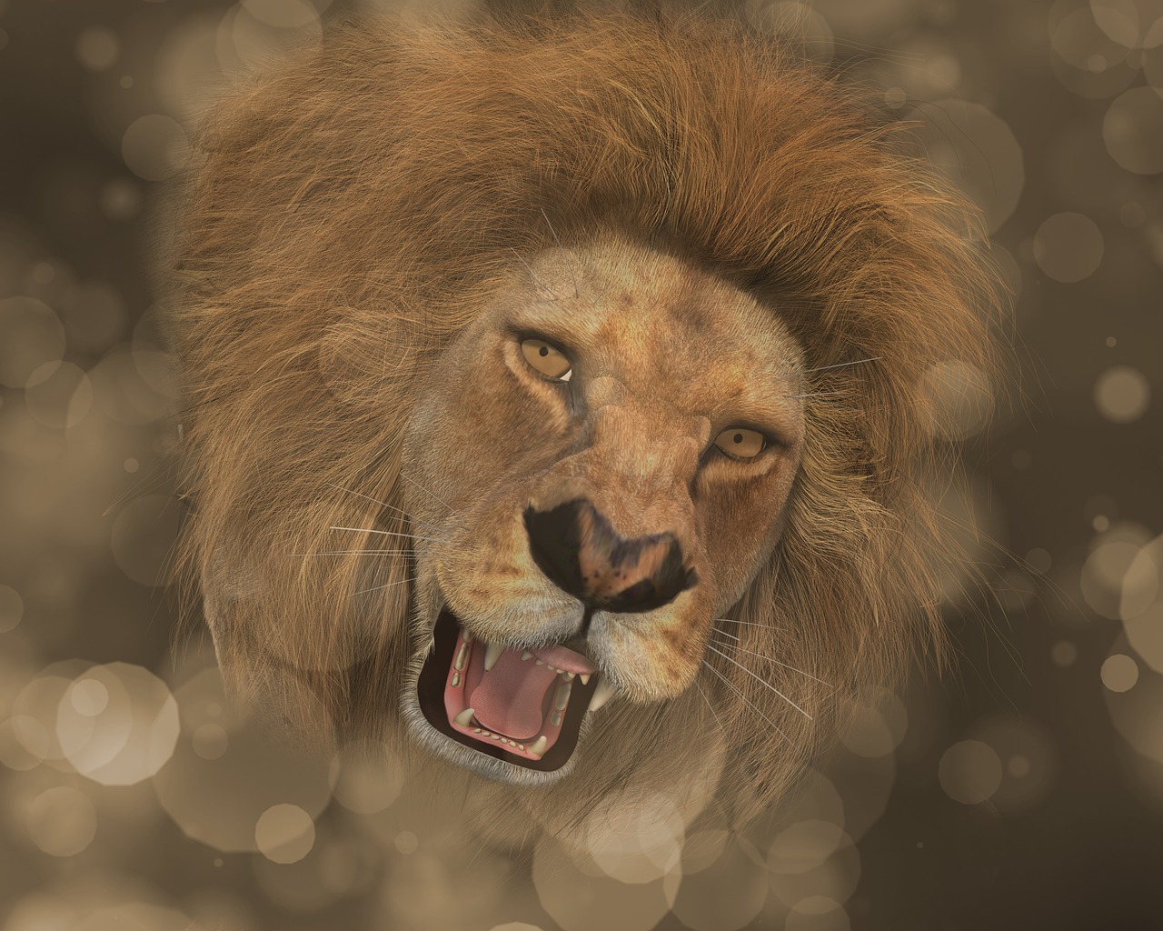 lion head mane free photo