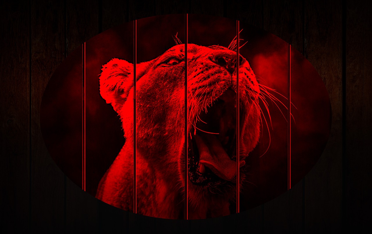 Красный Лев на черном фоне