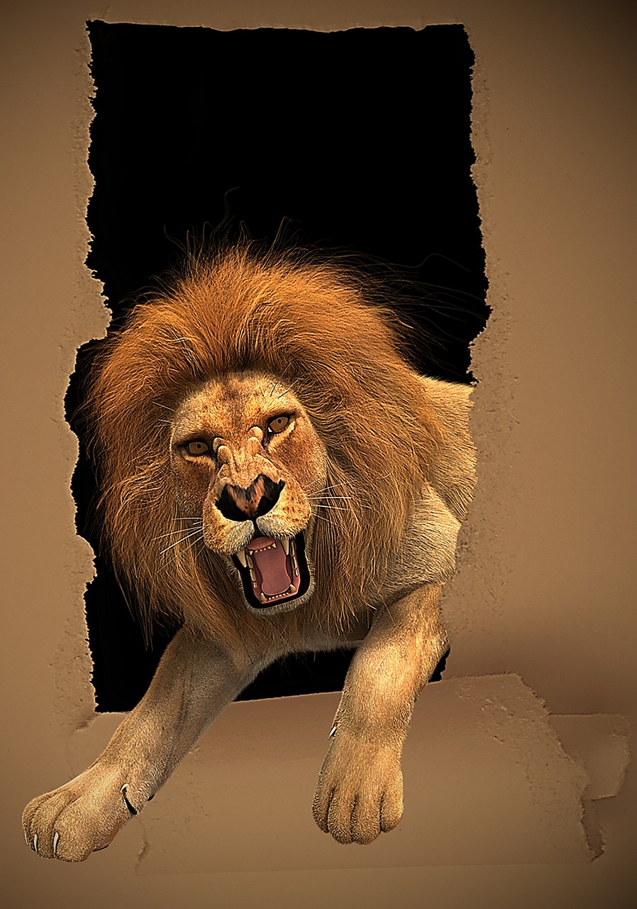 lion roar frame free photo