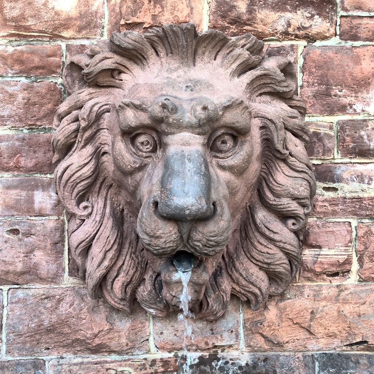 lion fountain water free photo