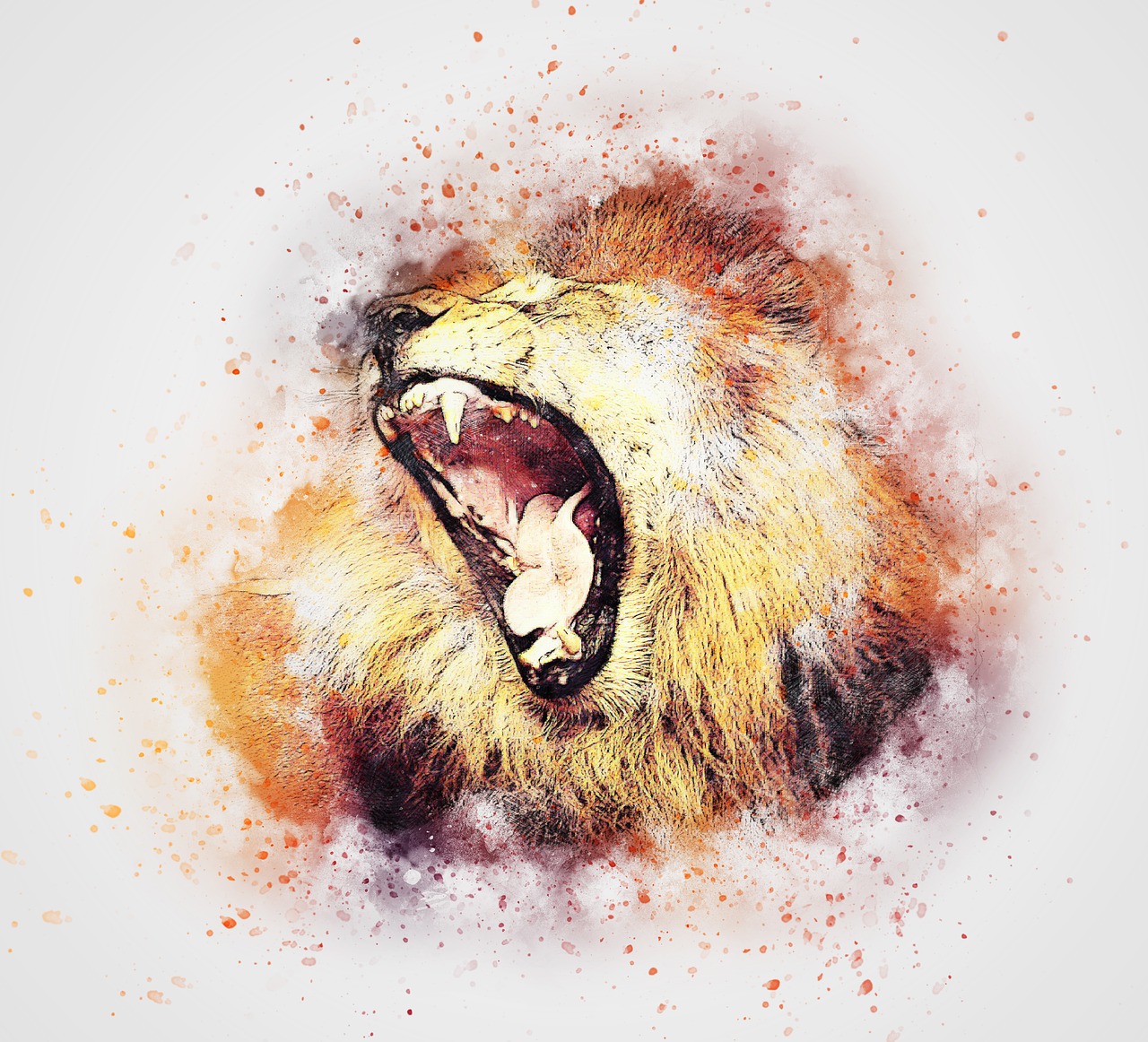 lion animal head free photo