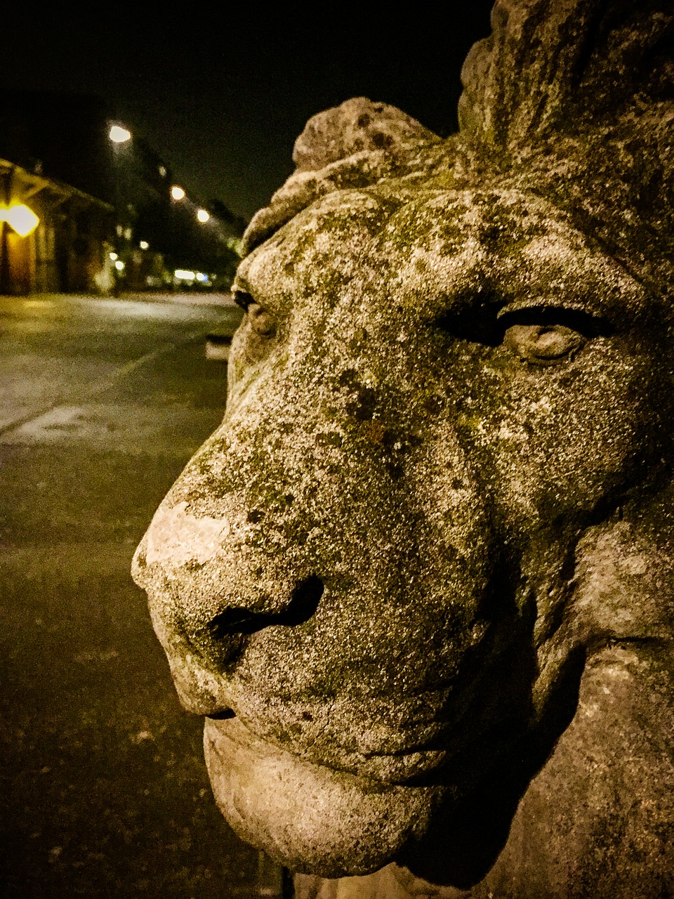lion amsterdam statue free photo