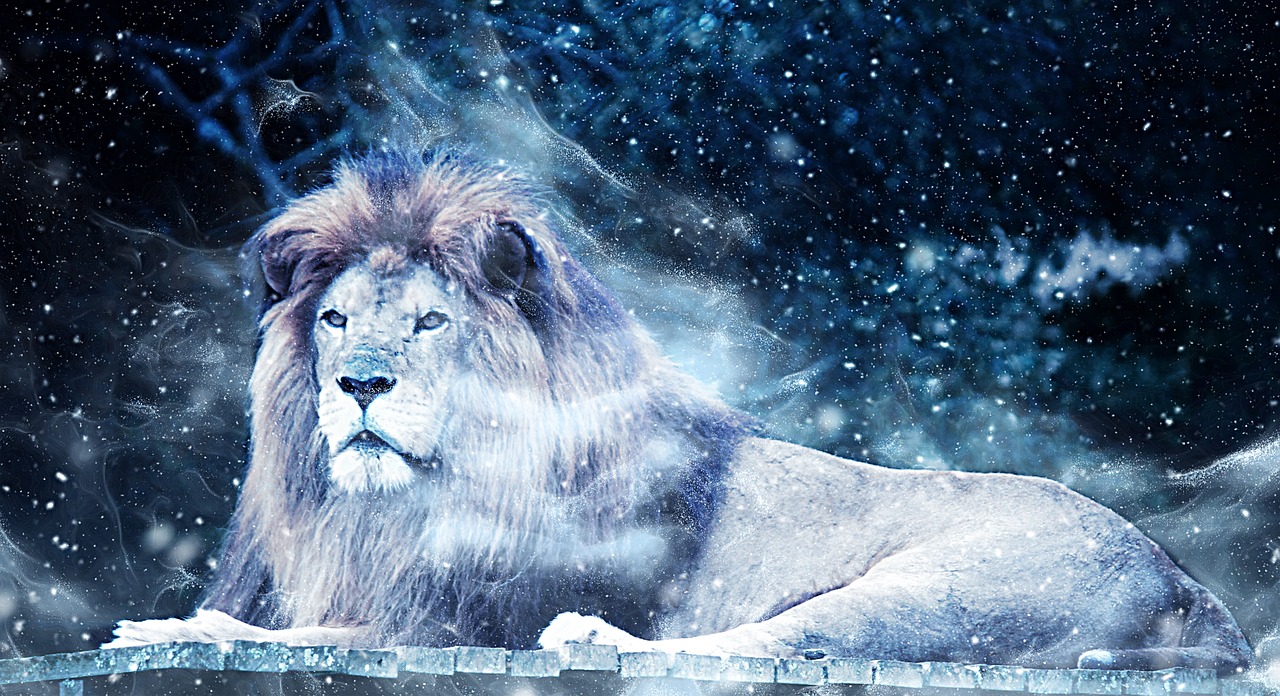 lion snow art free photo