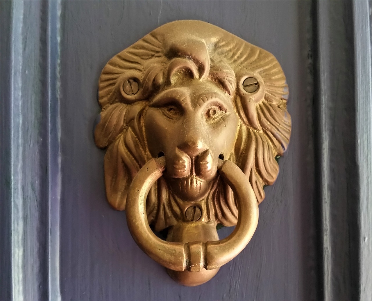 lion door doorknocker free photo