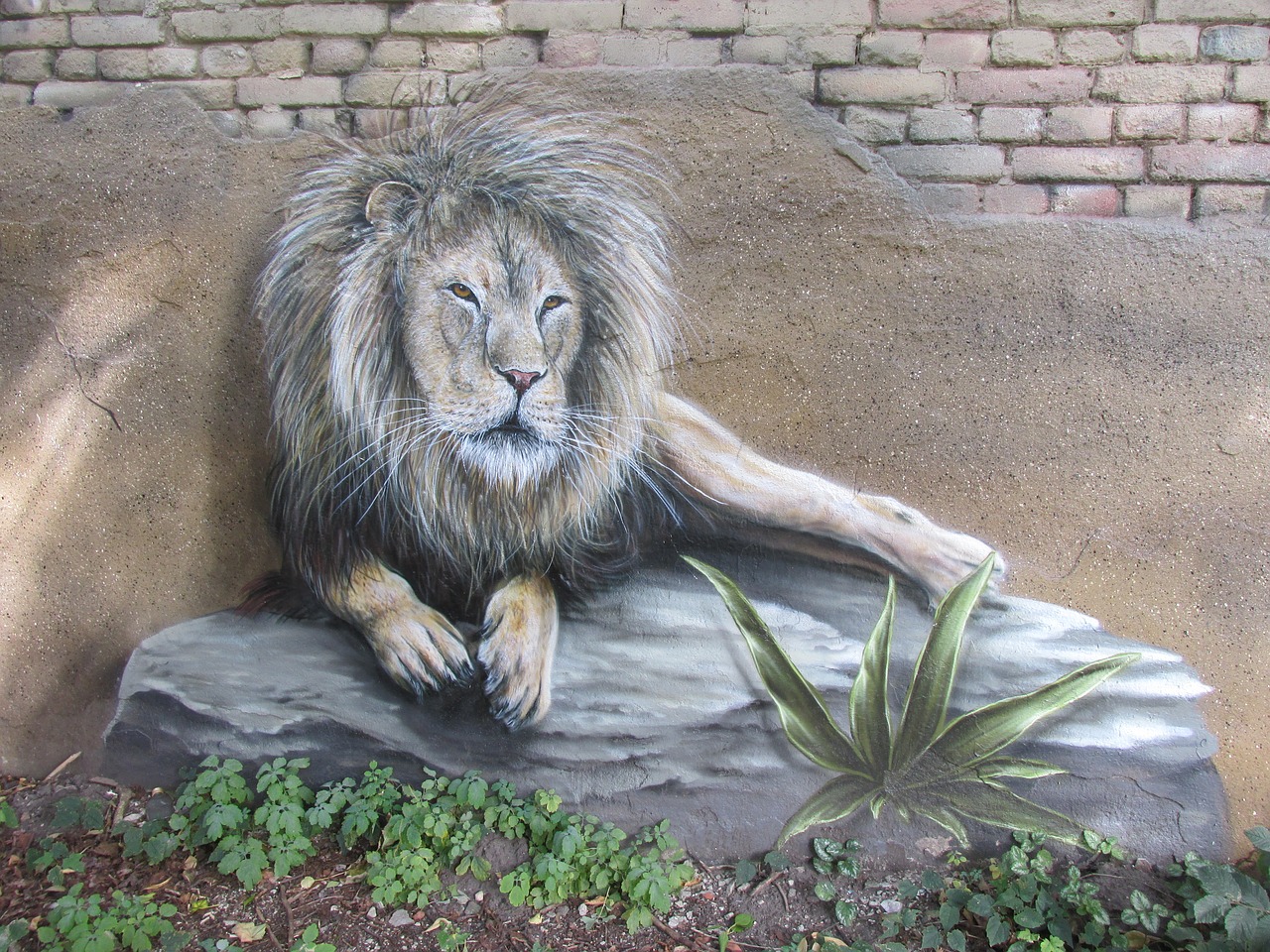 lion wall art wall free photo