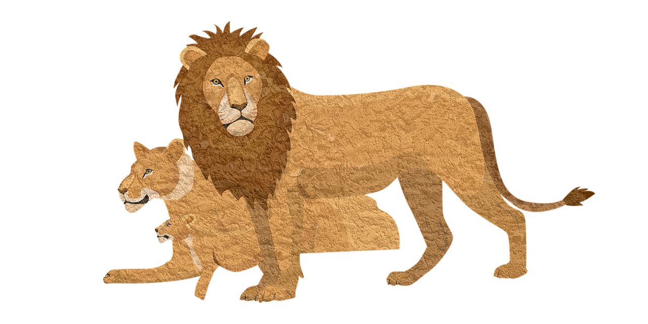 lion pixabay animal free photo