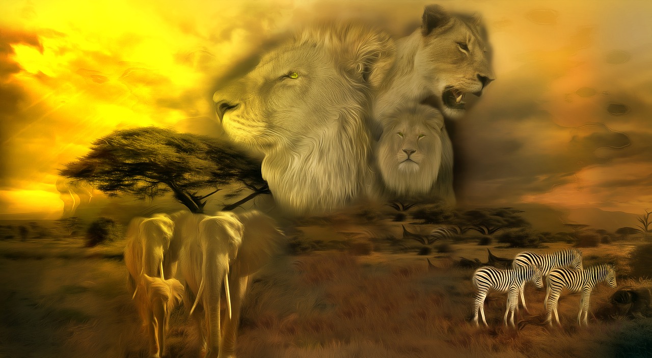 lion  africa  safari free photo