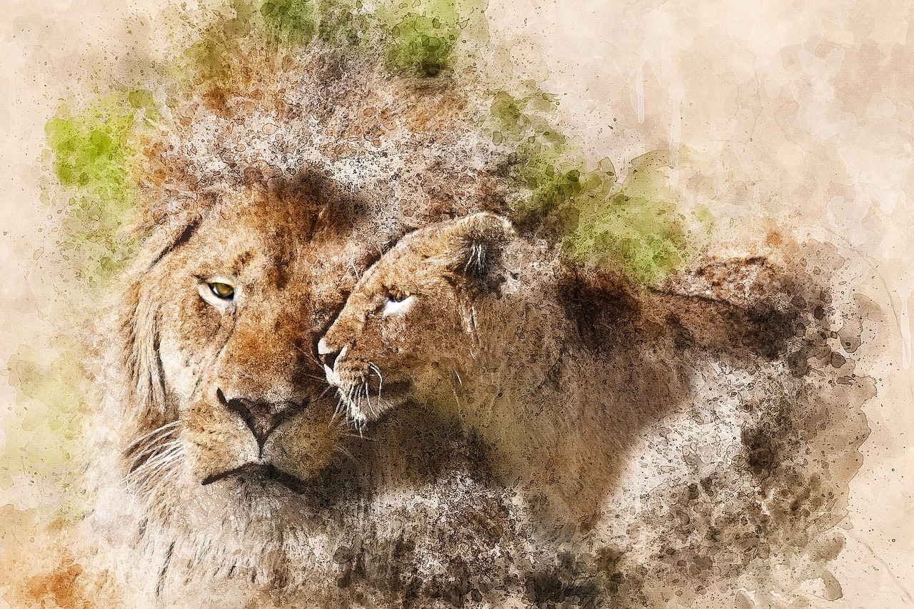 lion  lioness  wild free photo