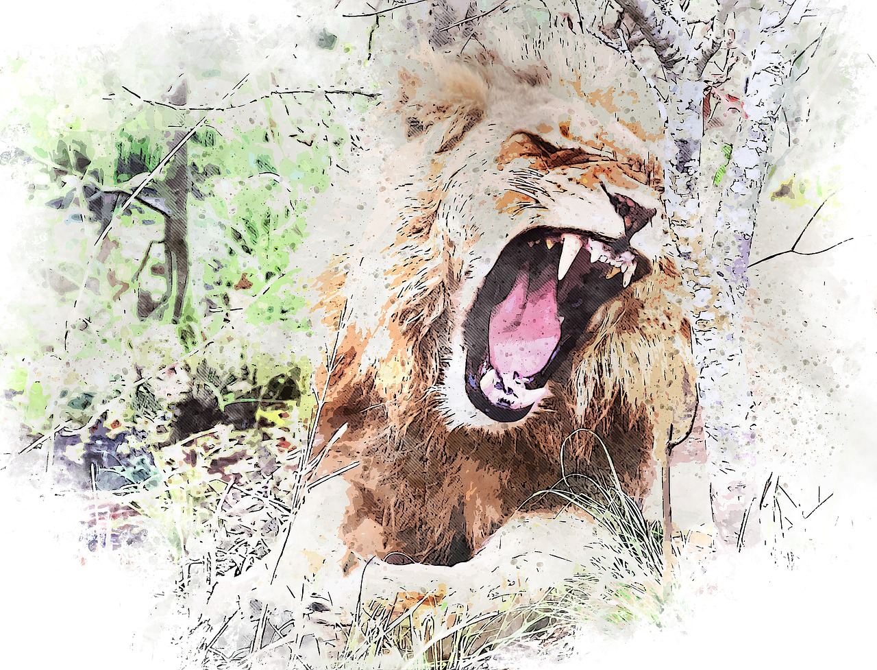 lion  wild  roar free photo