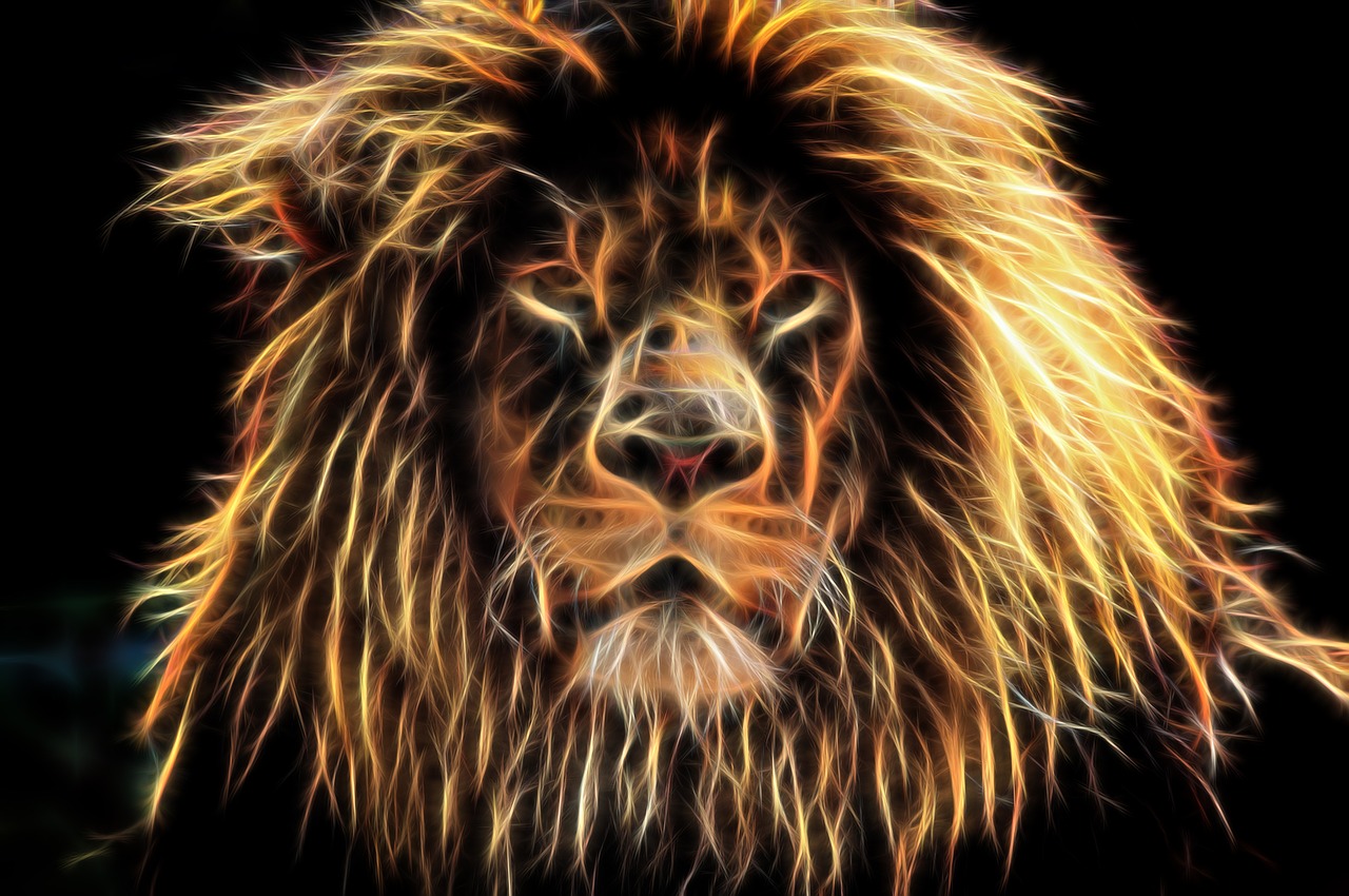 lion  leo  fractal free photo