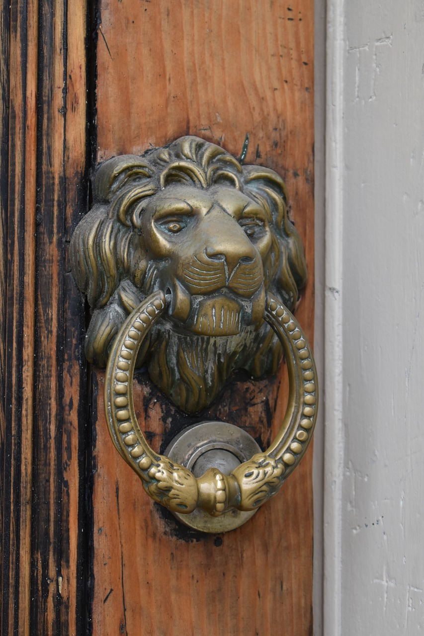 lion  door  doorknocker free photo