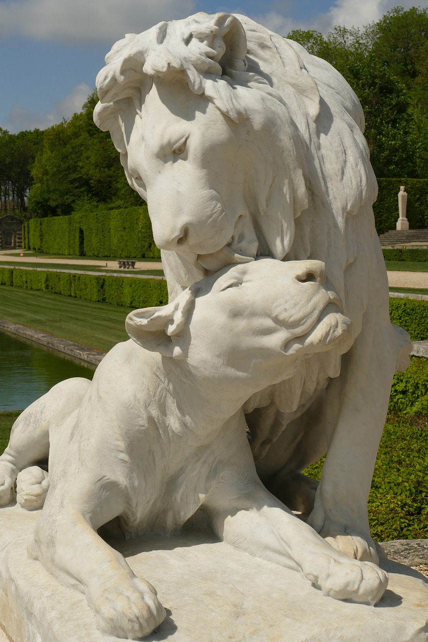 lion  lioness  mammal free photo