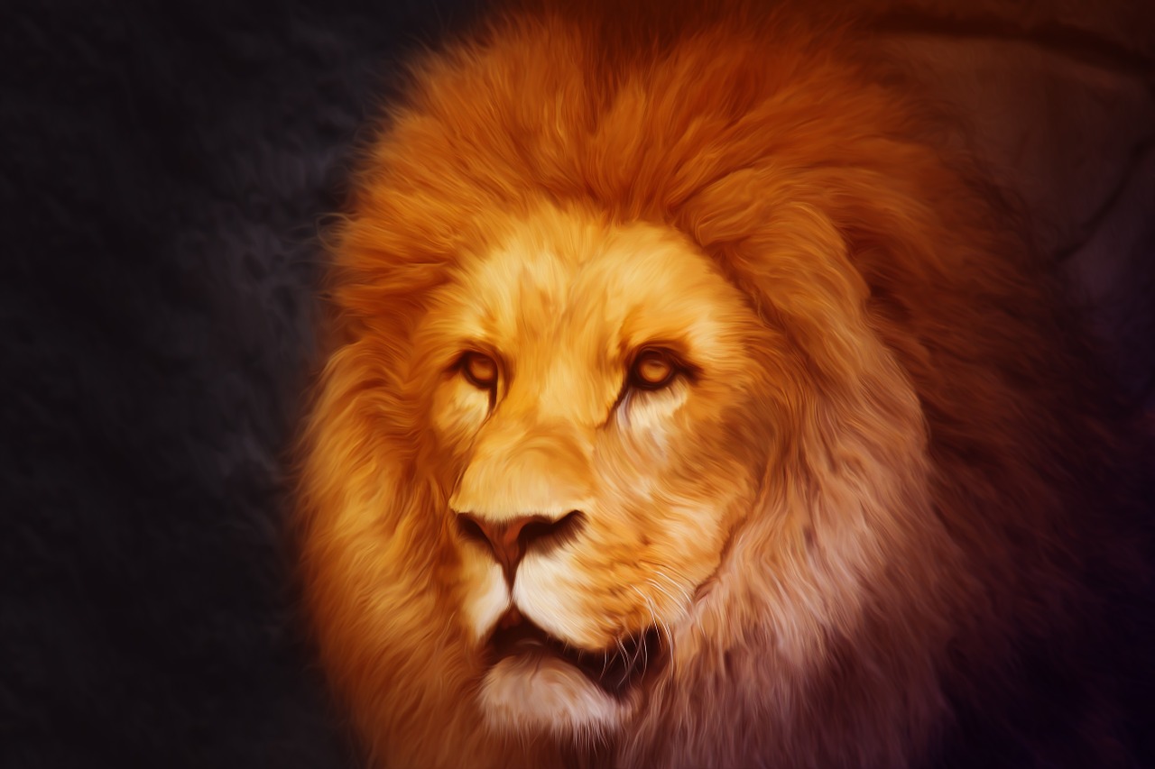 lion photoshop portrait free photo