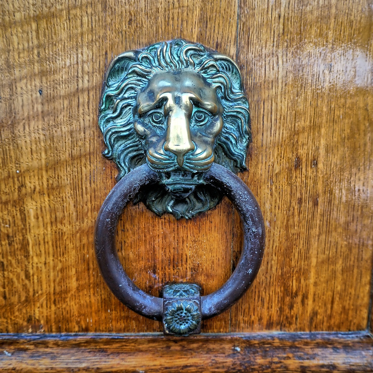 lion knocker door free photo