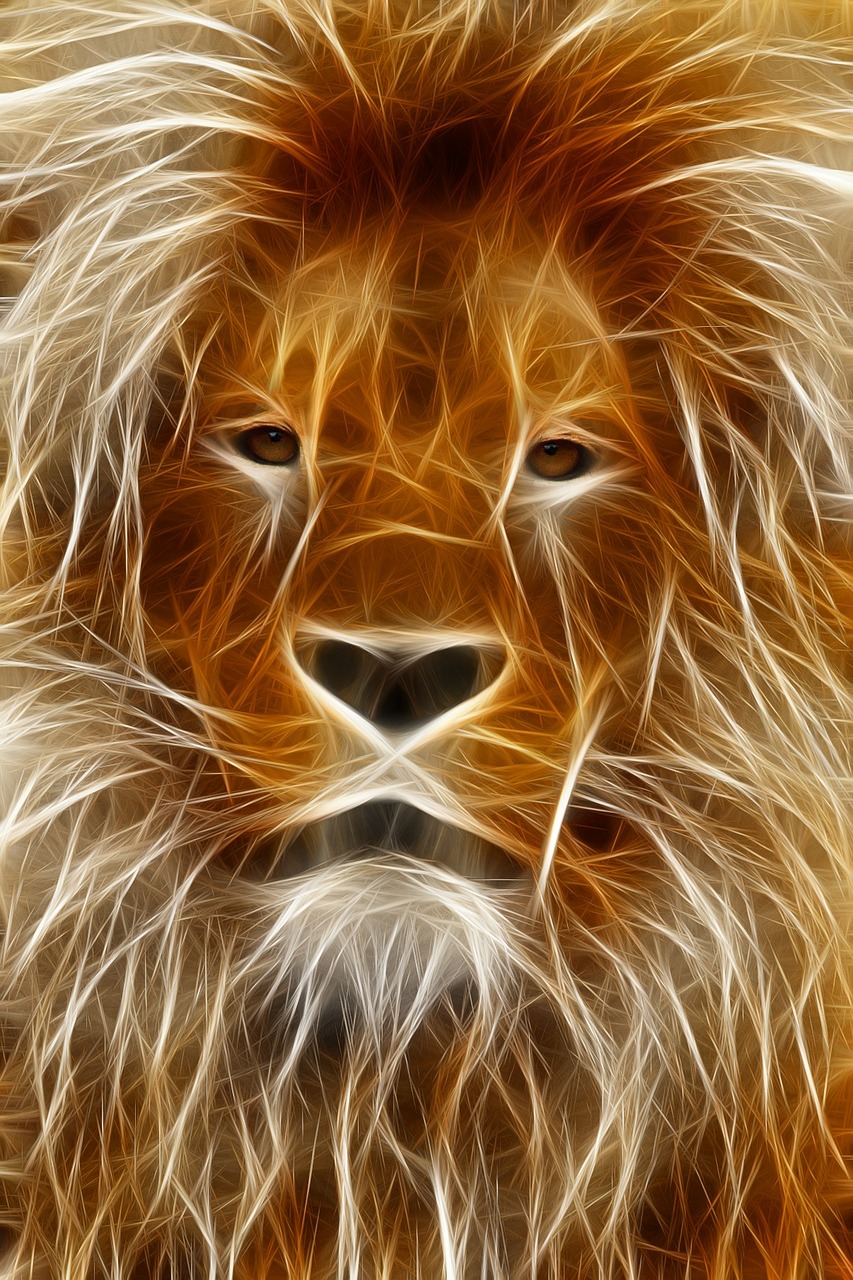 lion image editing graphic free photo