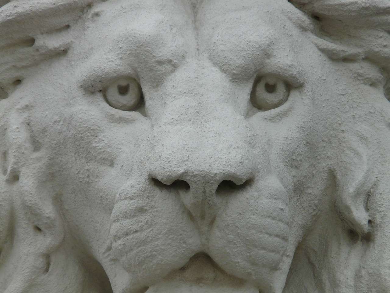lion statue figure free photo