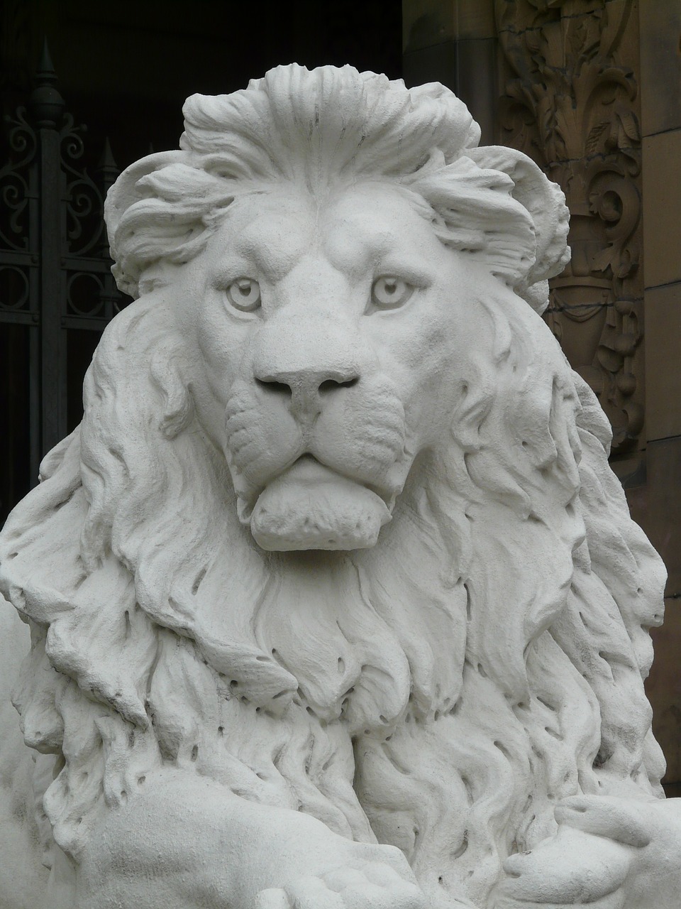 lion,statue,figure,gypsum,white,animal,chalk figure,free pictures, free photos, free images, royalty free, free illustrations, public domain