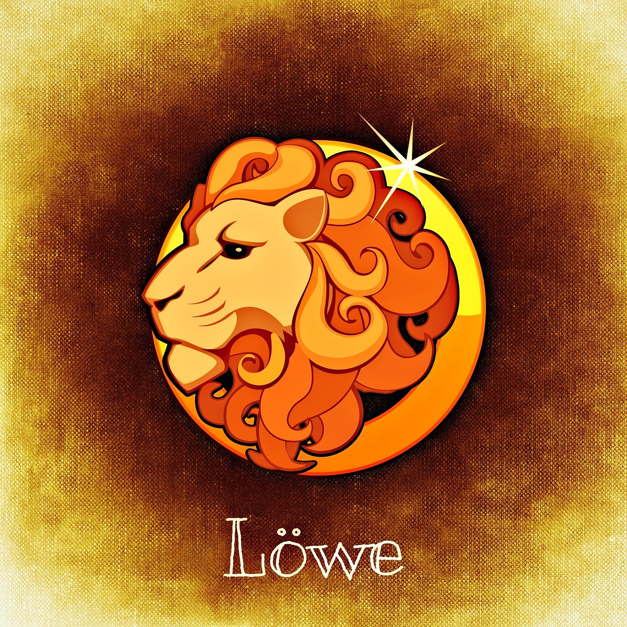 lion zodiac sign horoscope free photo