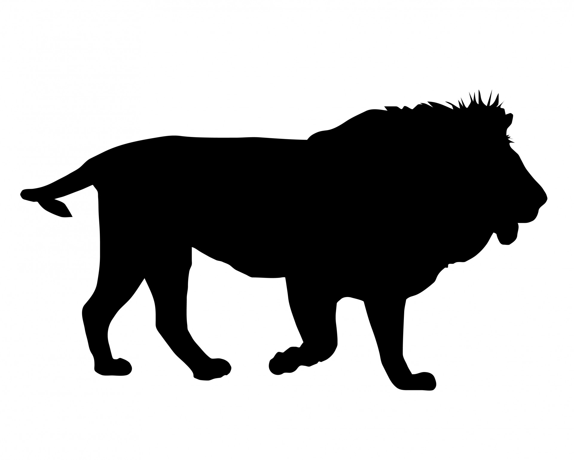 lion black silhouette free photo