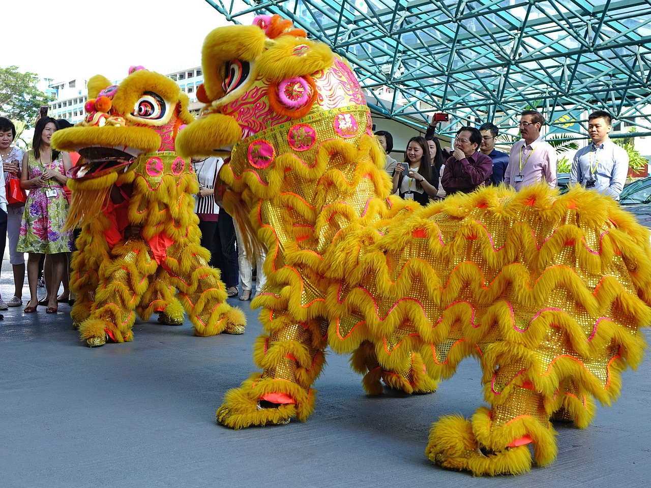 lion dance chinese tradition free photo