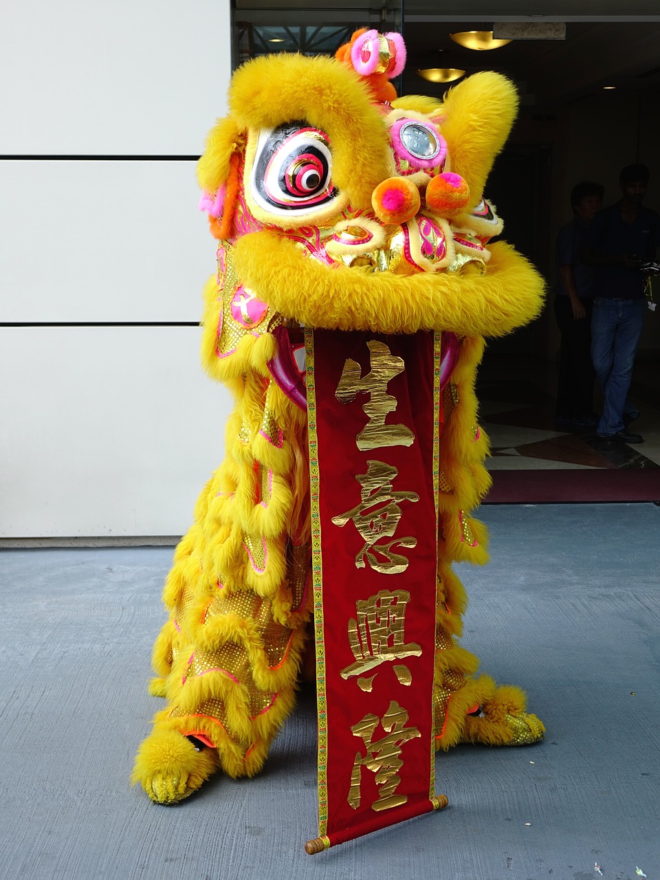 lion dance chinese tradition free photo