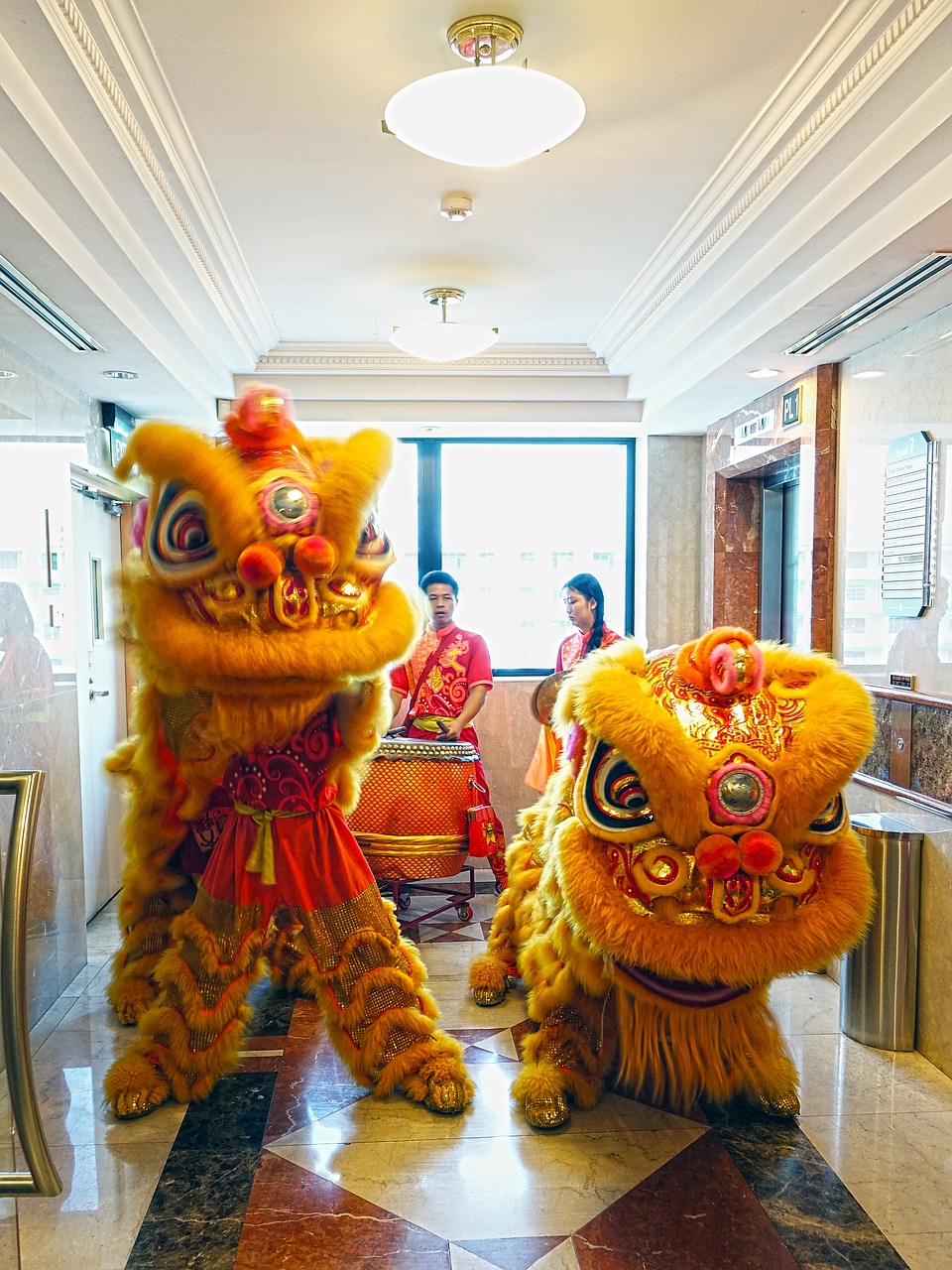 lion dance chinese tradition free photo