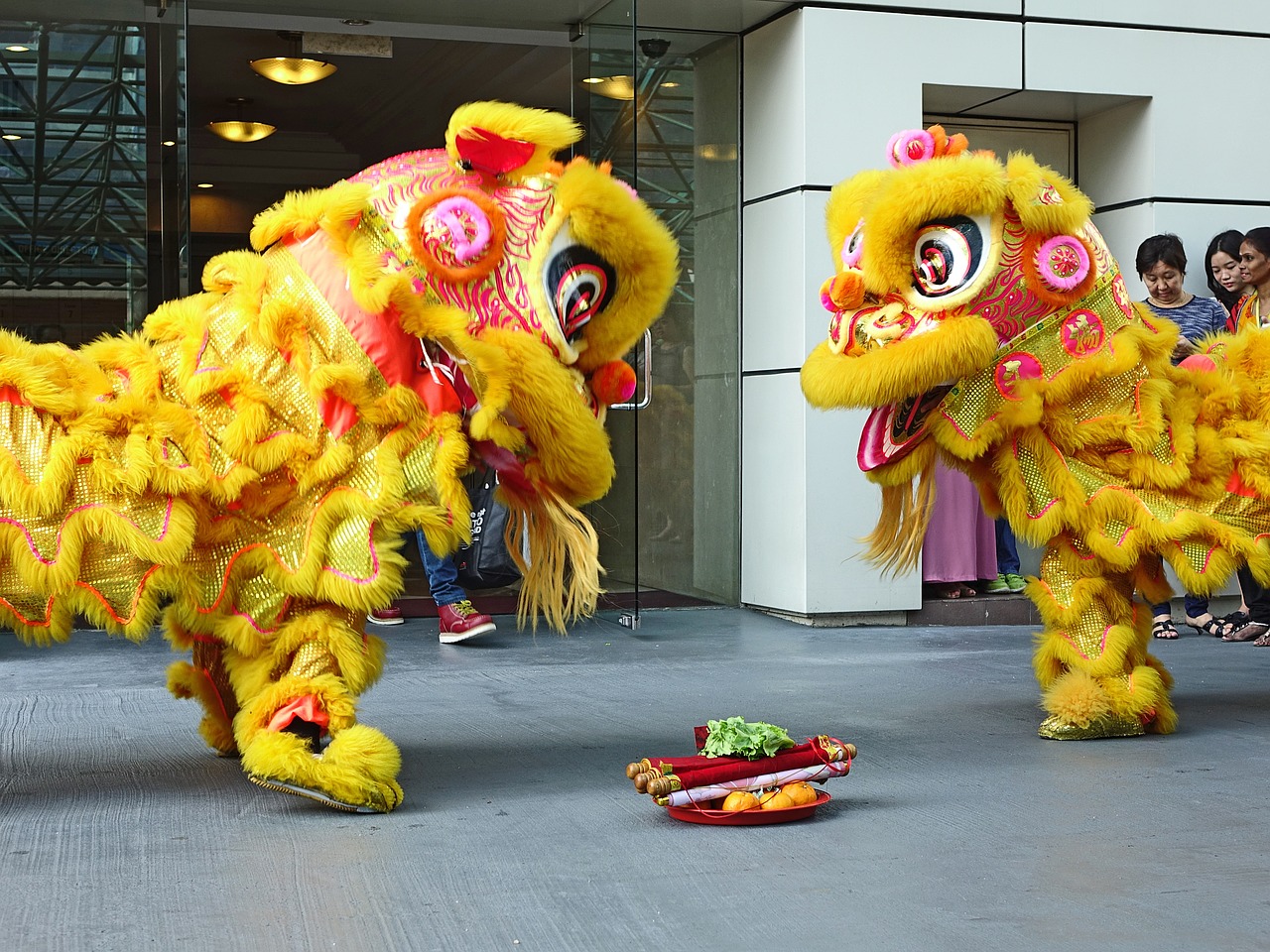 lion dance chinese tradition free photo