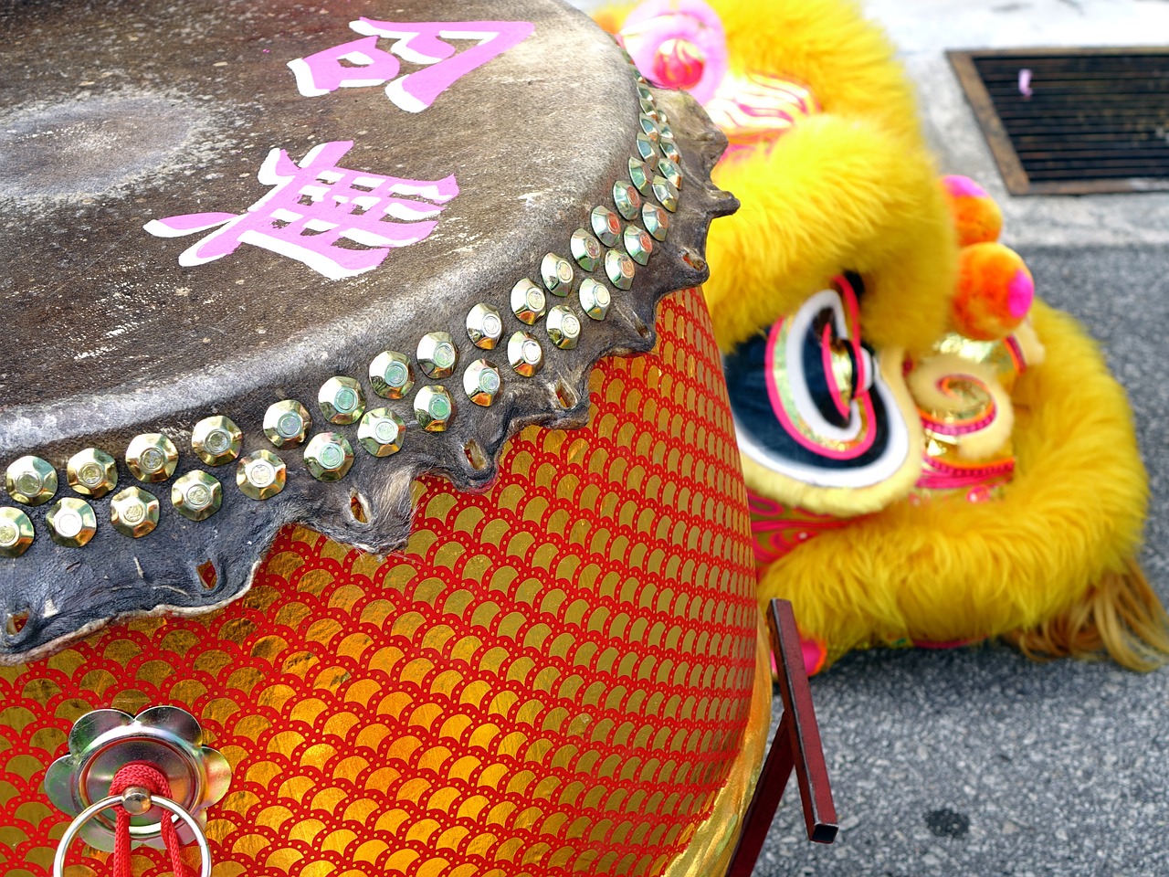 lion dance chinese tradition free photo