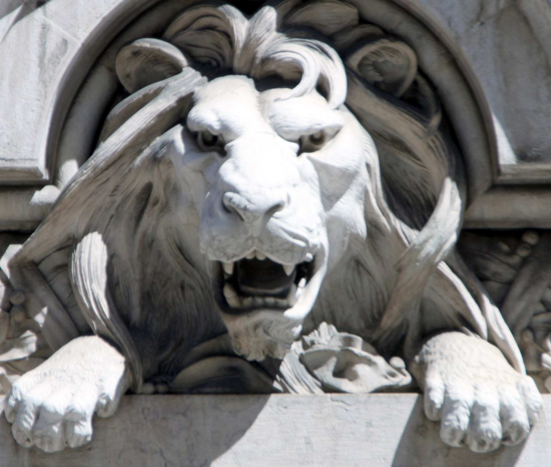 stone lion carving free photo