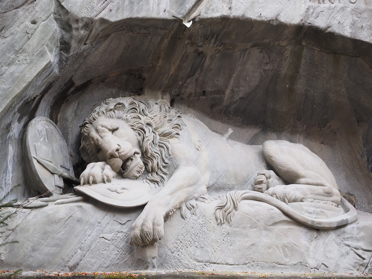 lion monument monument lion free photo