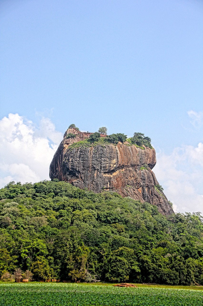 lion rock sri lanka holiday free photo