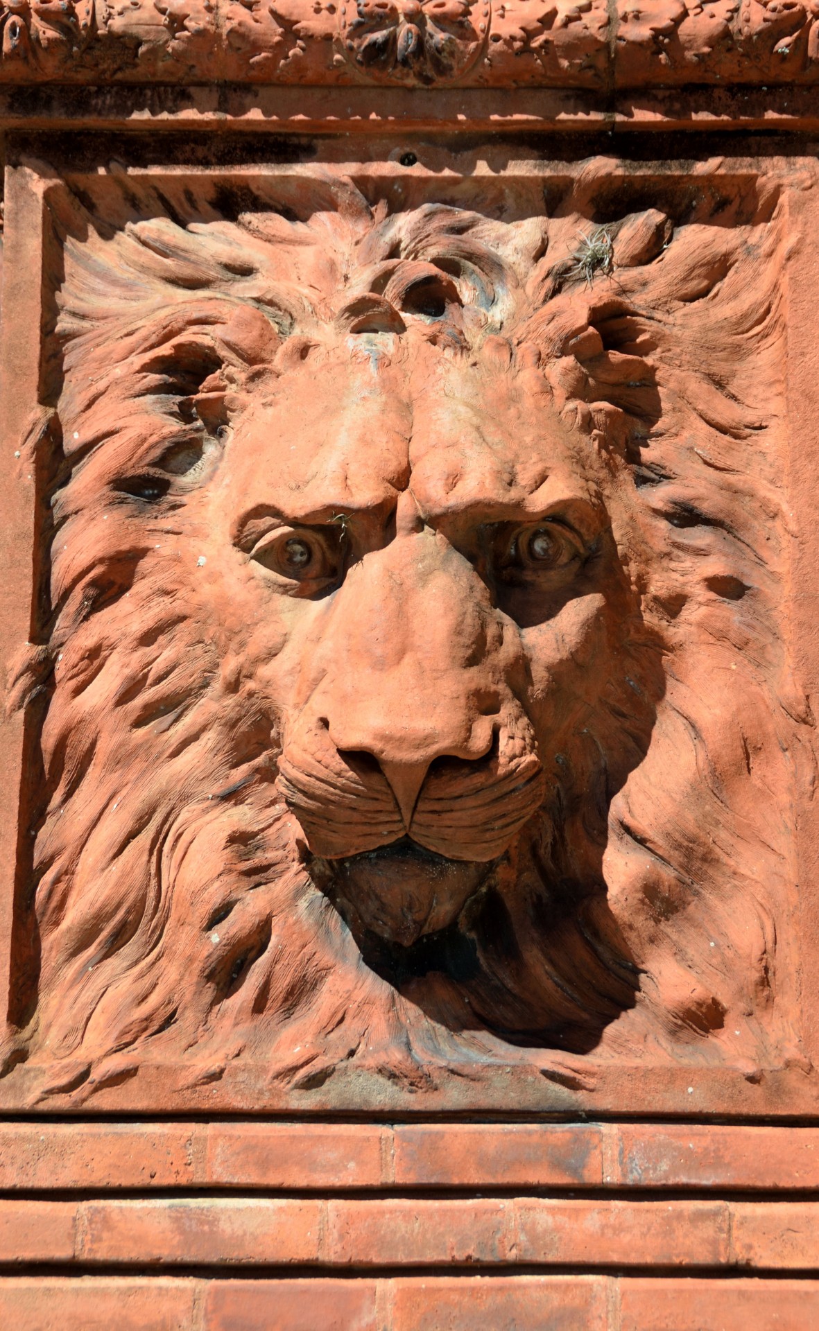 lion sculpture historic free photo