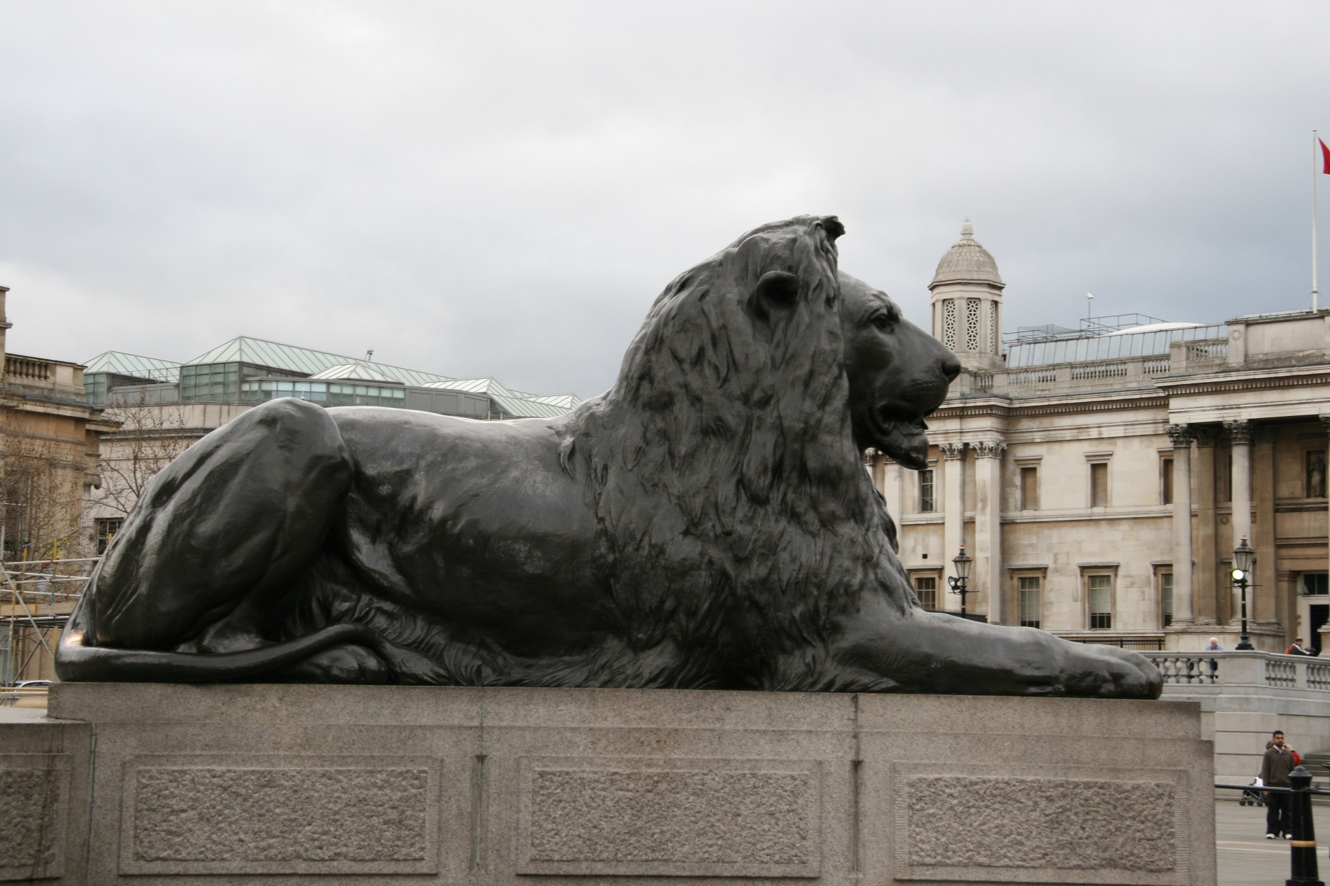 lion statue lion statue free photo