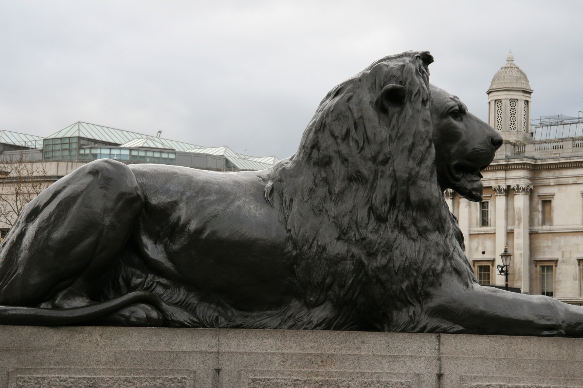 Лев лондон. Статуя Льва во Львове. Трафальгарская площадь львы. Статуя Льва в Лондоне. Скульптура Лев Бермондси в Лондоне.