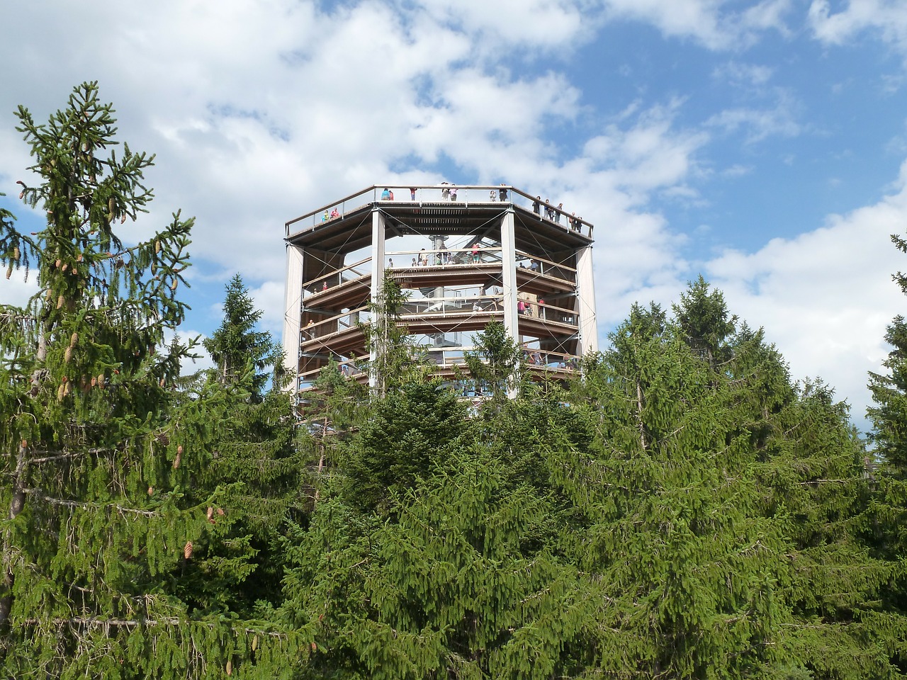 lipno lookout in the trees free photo