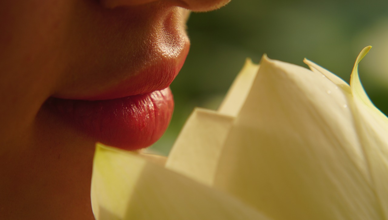 lips  lotus  flower free photo